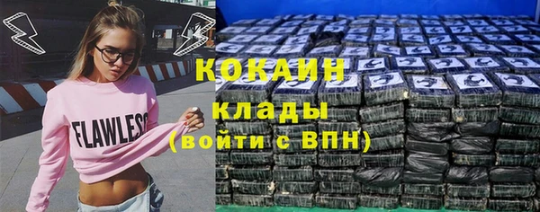 крисы Белокуриха