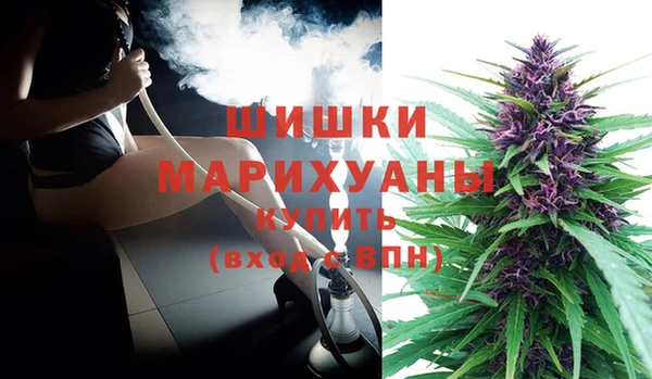 крисы Белокуриха