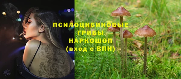крисы Белокуриха