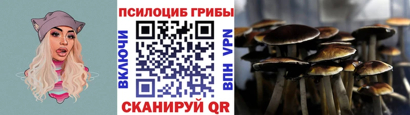 цена   блэк спрут ССЫЛКА  Псилоцибиновые грибы ЛСД  Волосово 